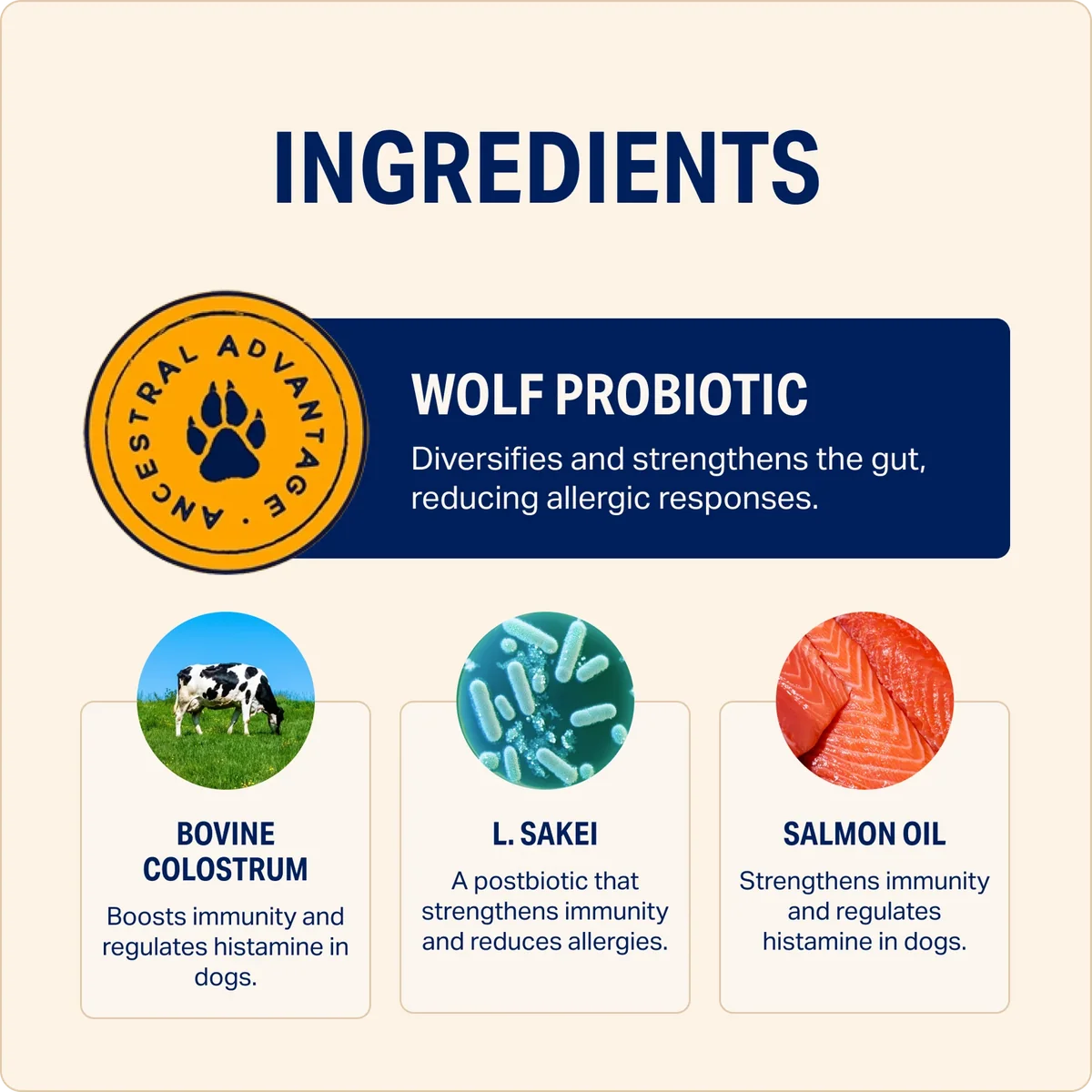 AMC BetterWild Natural Allergy Relief Chews Pack of 2