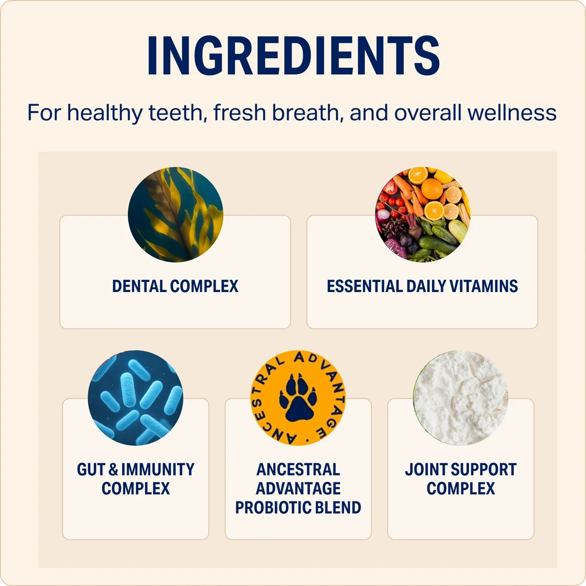 AMC BetterWild Natural DENTAL + MULTIVITAMIN Chews