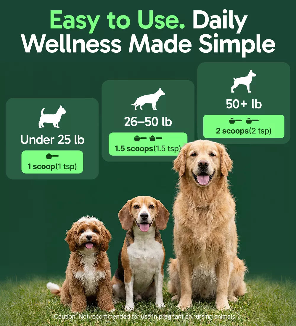 AMC K9 Dog Immune Support Small under 25 lbs Single Pack