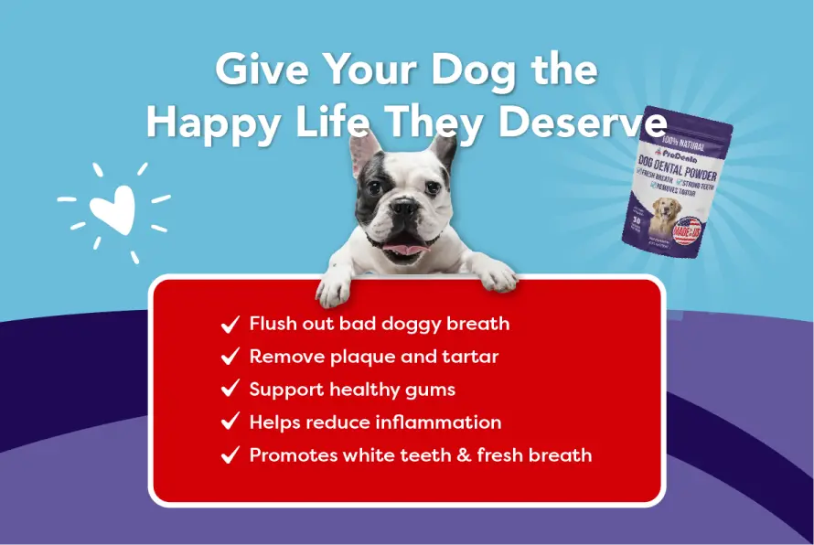 AMC Pup Labs ProDenta Dog Dental Powder 1 Pack