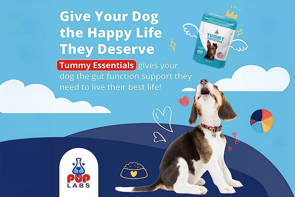 AMC PupLabs Tummy Essentials Digestive Chews Pack of 1
