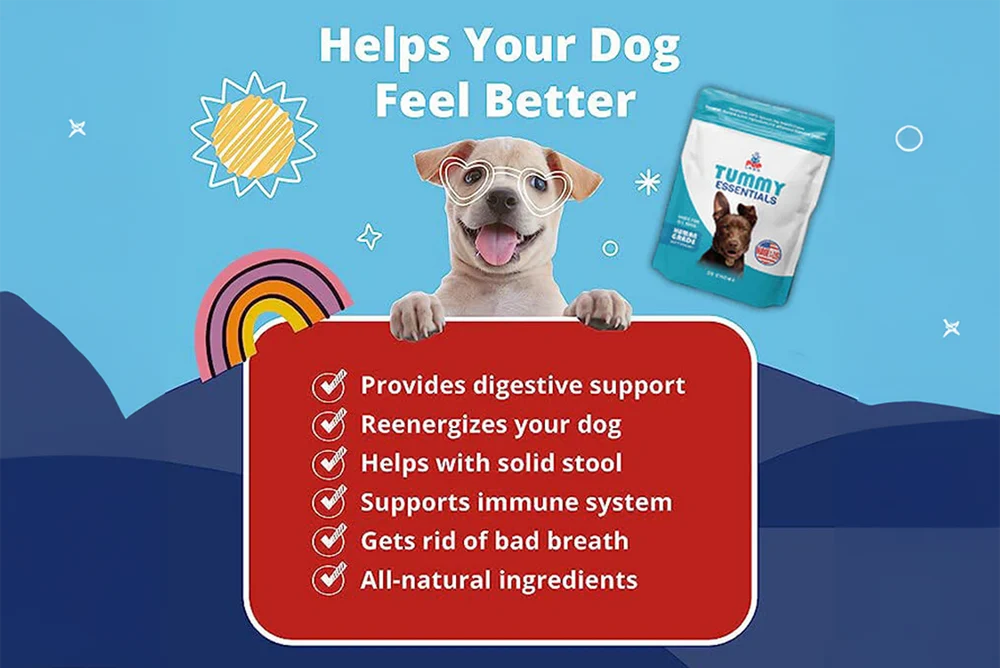 AMC PupLabs Tummy Essentials Digestive Chews Pack of 1