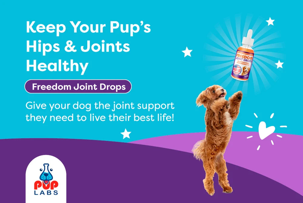 AMC PupLabs Freedom Joint Drops Pack of 1